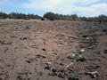 БМП-2 - 2014-09-17 - Солнцево First