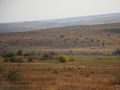 БМП-2 - 2014-08-02 - КПП Мариновка First