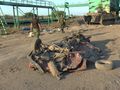 БМП-2 - 2014-09-05 - Лутугино First