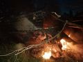 БМП-2 - 2017-06-12 - Комсомольский First