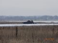 БМП-2 - 2014-11-22 - Донецкий аэропорт First