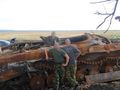БМП-2 - 2014-08-12 - Свердловск First