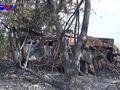 БМП-2 - 2014-08-10 - Свердловск First