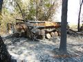 БМП-2 - 2014-08-10 - Свердловск First