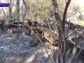 БМП-2 - 2014-08-10 - Свердловск First