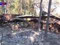 БМП-2 - 2014-08-10 - Свердловск First