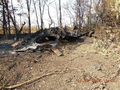 БМП-2 - 2014-08-10 - Свердловск First