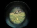БМП-2 - 2014-08-12 - Червонопартизанск First
