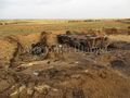БМП-2 - 2014-07-18 - Краснодон First