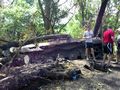 БМП-2 - 2014-05-22 - Рубежное First