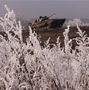 БМП-2 - 2015-02-13 - Логвиново First