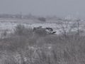 БМП-1 - 2015-02-13 - Дебальцево First