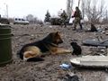 БМП-2 - 2015-02-19 - Дебальцево First