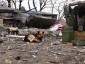 БМП-1П - 2015-02-19 - Дебальцево First