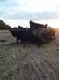 БМП-2 - 2014-07-04 - Новоселовка Первая First