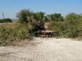 БМП-2 - 2014-09-20 - Белое First