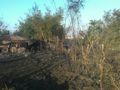 БМП-2 - 2014-07-22 - Солнцево First