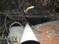 БМП-2 - 2014-08-08 - Червонопартизанск First