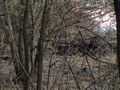 БМП-2 - 2014-08-08 - Червонопартизанск First