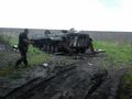 БМП-1 - 2015-05-14 - Редкодуб First