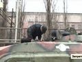 БМП-1 - 2015-02-25 - Каменка First