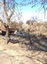 БМП-2 - 2014-09-02 - Лутугино First