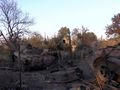 БМП-2 - 2014-09-02 - Лутугино First