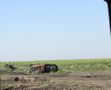 БМП-2 - 2014-07-10 - КПП Должанский First