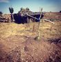 БМП-2 - 2014-08-29 - Победа First