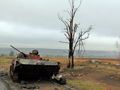 БМП-2 - 2014-08-20 - Георгиевка First