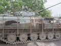 БМП-2 - 2014-08-29 - Новокатериновка First