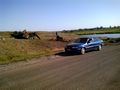 БМП-2 - 2014-08-29 - Победа First