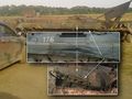 БМП-2 - 2014-08-07 - Светлое First
