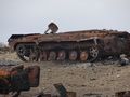 БМП-2 - 2014-08-23 - Георгиевка First