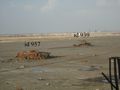 БМП-2К - 2014-09-28 - Донецкий аэропорт First
