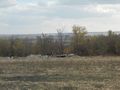 БМП-2 - 2014-08-30 - Новоанновка First